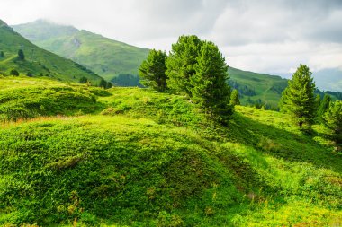 Dağ doruklarına arka plan manzara. Jungfrau, Bernese highland. Alpler, turizm, dağlar kavram hiking yolculuk