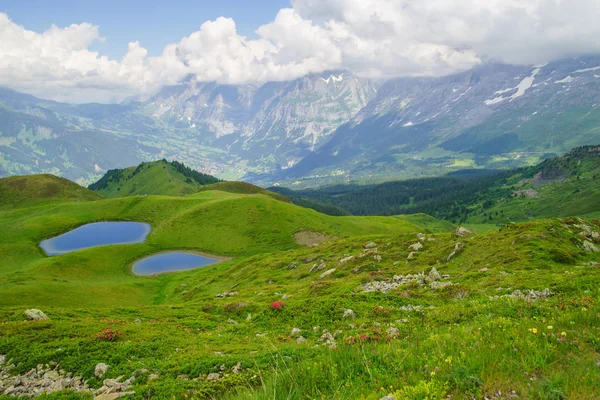 Horské Vrcholy Grindelwald Jungfrau Krajinné Pozadí Bernese Highland Alpy Turistika — Stock fotografie