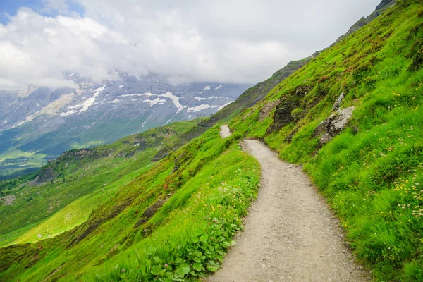 Alpine Peaks Grindelwald Jungfrau Landscape Background Bernese Highland Alps Tourism — Stock Photo, Image