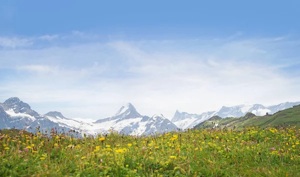 Alpes Grindelwald Jungfrau Cenário Paisagístico Planalto Bernese Alpes Turismo Viagem Fotografia De Stock