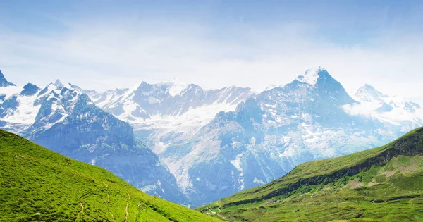 Alpine Gipfel Von Grindelwald Und Jungfrau Landschaftlicher Hintergrund Des Berner — Stockfoto