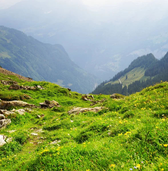 Picos Alpinos Paisaje Fondo Jungfrau Altos Berneses Alpes Suizos — Foto de Stock