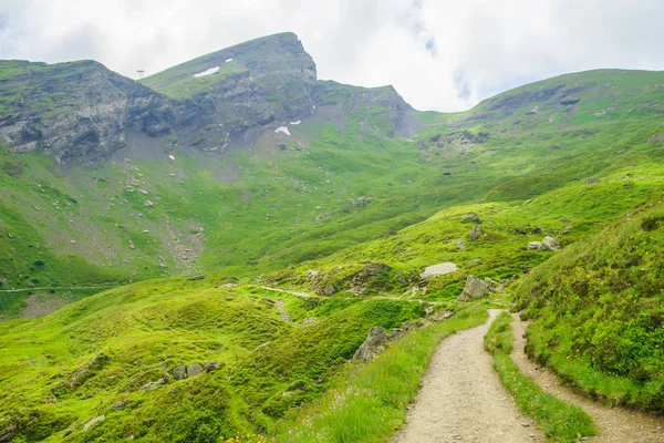 Dağ doruklarına arka plan manzara. Jungfrau, Bernese highland. Alpler, turizm yolculuk yürüyüş kavramı