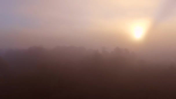 Epic Flight Autumn Forrest Sunrise Sunset Time Colorful Trees Drone — Stock Video