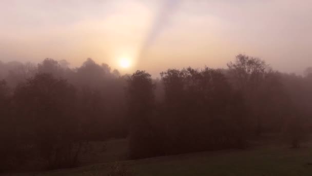 史诗般的飞行在秋天福雷斯特 日出或日落时间 五颜六色的树木无人机在雾照 — 图库视频影像