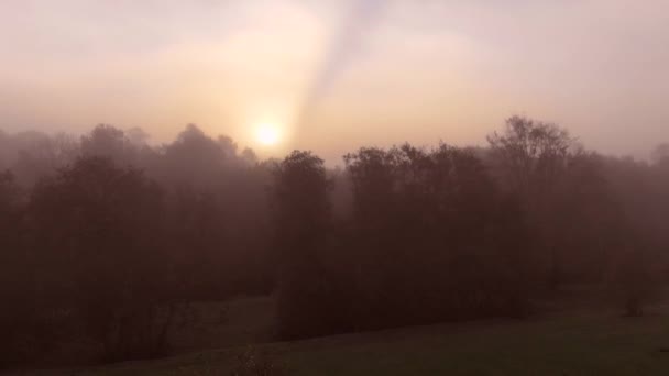 Epic Flight Over Autumn Forrest. Lever ou coucher du Soleil. Arbres Colorés Drone Aérien dans une lumière brumeuse .