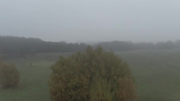 Epic Flight Over Autumn Forrest. Tôt le matin. Arbres Colorés Drone Aérien dans une lumière brumeuse .