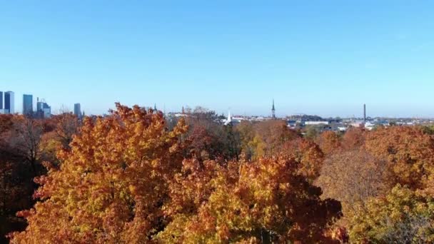 Epic Flight Beautiful Autumn Forrest Inglés Árboles Coloridos Drone Aerial — Vídeo de stock