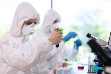 Laboratuvarda çalışan koruyucu giysi ve maskeli bilim adamları laboratuvar ekipmanları kullanıyorlardı: mikroskop, test tüpleri. Biyolojik tehlike, farmasötik keşif, bakteri ve virüs bilimi kavramı.