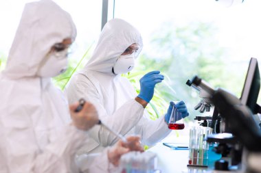 Laboratuvarda çalışan koruyucu giysi ve maskeli bilim adamları laboratuvar ekipmanları kullanıyorlardı: mikroskop, test tüpleri. İlaç, enfeksiyon ve aşı keşfi kavramı.