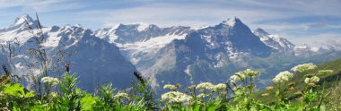 Grindelwald ve Jungfrau dağ doruklarına. Bernese highland manzara arka plan. Alpler, turizm, seyahat, seyahat ve hiking kavramı.
