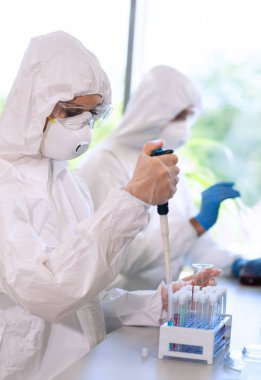 Laboratuvarda çalışan koruyucu giysi ve maskeli bilim adamları laboratuvar ekipmanları kullanıyorlardı: mikroskop, test tüpleri. İlaç, enfeksiyon ve aşı keşfi kavramı.