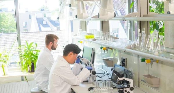 Cientista Estudantes Que Trabalham Laboratório Médico Estagiário Ensino Para Fazer — Fotografia de Stock