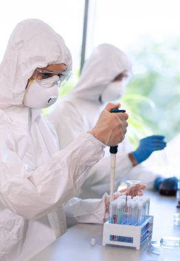 Laboratuvarda çalışan koruyucu giysi ve maskeli bilim adamları laboratuvar ekipmanları kullanıyorlardı: mikroskop, test tüpleri. Biyolojik tehlike, farmasötik keşif, bakteri ve virüs bilimi kavramı.