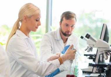 Laboratuvarda çalışan bilim adamları ve öğrenciler. Doktor stajyerlere araştırma yapmayı öğretiyor. Laboratuvar aletleri: mikroskop, test tüpleri, ekipmanlar. Biyoteknoloji, kimya, bakteriyoloji, viroloji, DNA