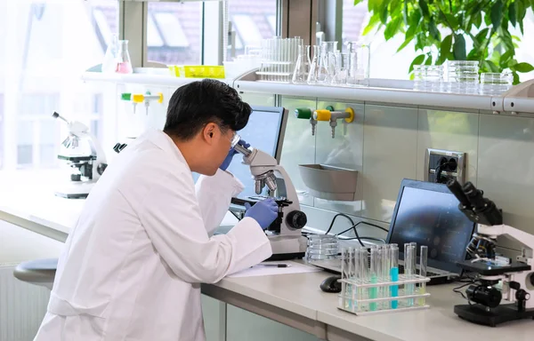 Scientist Working Lab Asian Doctor Making Medical Research Laboratory Tools — Stock Photo, Image