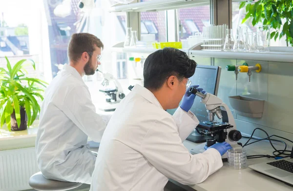 Cientista Trabalhar Laboratório Médicos Fazer Pesquisa Médica Ferramentas Laboratório Microscópio — Fotografia de Stock