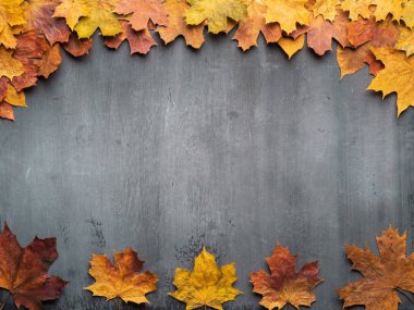 Mevsimlik sonbahar arka planı. Renkli akçaağaç yaprakları çerçeve.