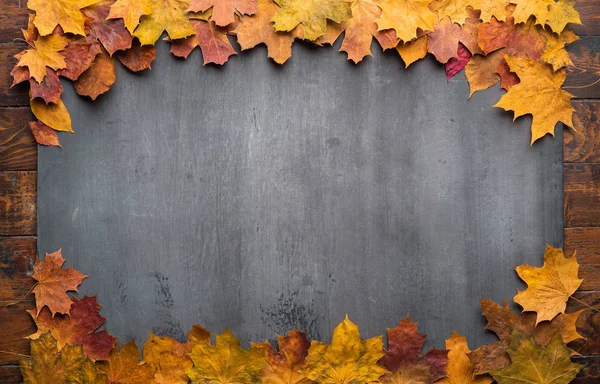 Seasonal autumn background. Frame of colorful maple leaves. — Stock Photo, Image