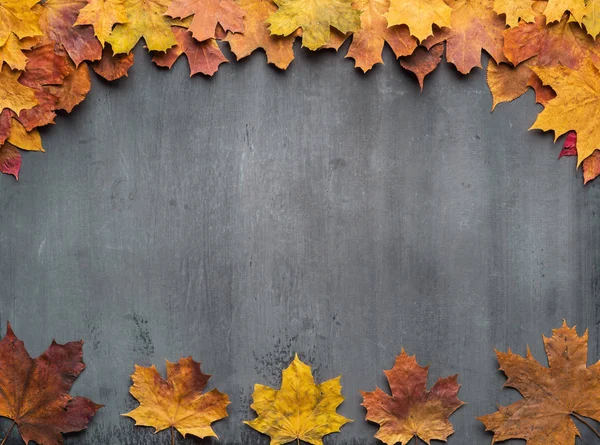 Seizoensgebonden herfst achtergrond. Frame van kleurrijke esdoorn bladeren. — Stockfoto