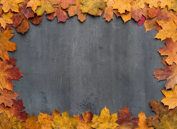 Seasonal autumn background. Frame of colorful maple leaves. — Stock Photo, Image