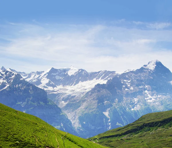 Alpské Vrcholy Grindelwald Jungfrau Krajinném Zázemí Bernese Highland Alpy Turistika — Stock fotografie