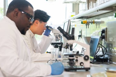 Laboratuvarda çalışan bilim adamları ve öğrenciler. Doktor stajyerlere araştırma yapmayı öğretiyor. Laboratuvar aletleri: mikroskop, test tüpleri, ekipmanlar. Biyoteknoloji, kimya, bakteriyoloji, viroloji, DNA