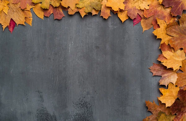 Seasonal autumn background. Frame of colorful maple leaves. — Stock Photo, Image