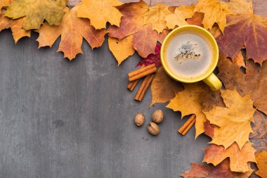 Mevsimlik sonbahar arka planı. Renkli akçaağaç yaprakları çerçeve.