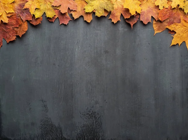 Seizoensgebonden herfst achtergrond. Frame van kleurrijke esdoorn bladeren. — Stockfoto