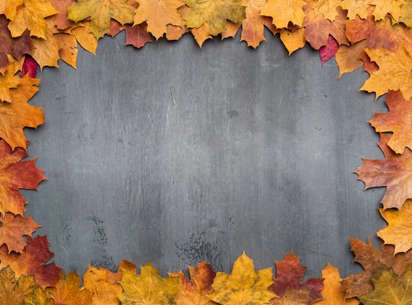 Εποχιακό φθινοπωρινό φόντο. Πλαίσιο από πολύχρωμα φύλλα σφενδάμου. — Φωτογραφία Αρχείου