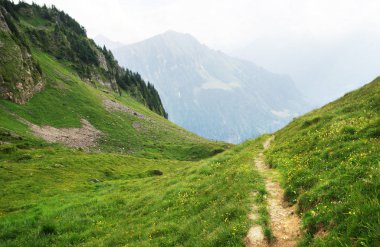 Dağ doruklarına arka plan manzara. Jungfrau, Bernese highland. Alpler, turizm, dağlar kavram hiking yolculuk