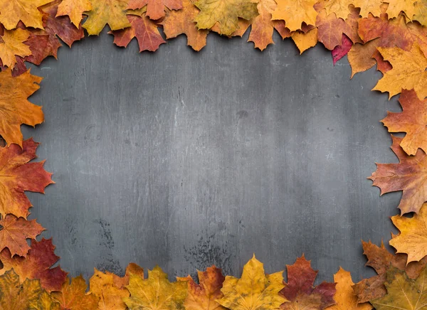 Fondo de otoño estacional. Marco de hojas de arce de colores . — Foto de Stock