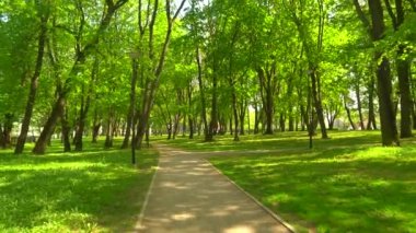 Genç, çekici ve sportif sarışın kız parkta açık koşu. Sağlık, spor, fitness ve yaşam tarzı.