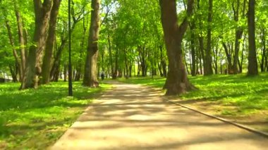 Genç, çekici ve sportif sarışın kız parkta açık koşu. Sağlık, spor, fitness ve yaşam tarzı konsepti.