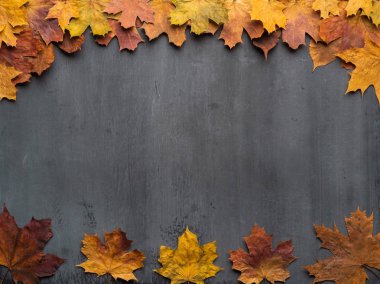 Mevsimlik sonbahar geçmişi. Gri dokunun üzerine renkli akçaağaç yaprakları çerçevesi.