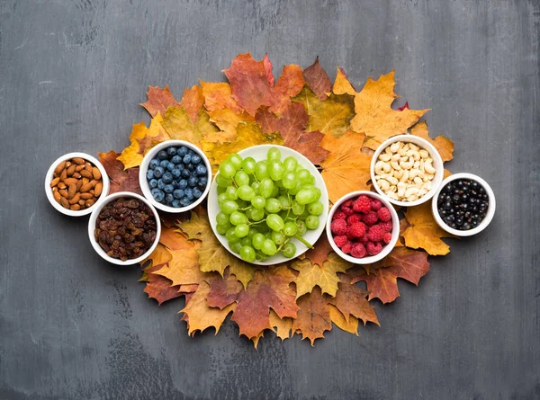 Fond saisonnier d'automne. Cadre de feuilles d'érable colorées, raisins secs, noix et baies sur gris — Photo