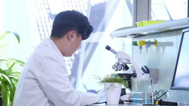 Aziatische wetenschapper die in het lab werkt. Dokter die microbiologie onderzoek doet. Laboratoriumgereedschappen: microscoop, reageerbuizen, apparatuur. Biotechnologie, chemie, bacteriologie, virologie. — Stockvideo