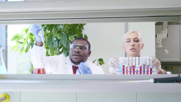 Naukowiec i jego asystent pracują w laboratorium. Lekarz uczy stażystę, jak robić badania. Narzędzia laboratoryjne: mikroskop, probówki, sprzęt. — Wideo stockowe