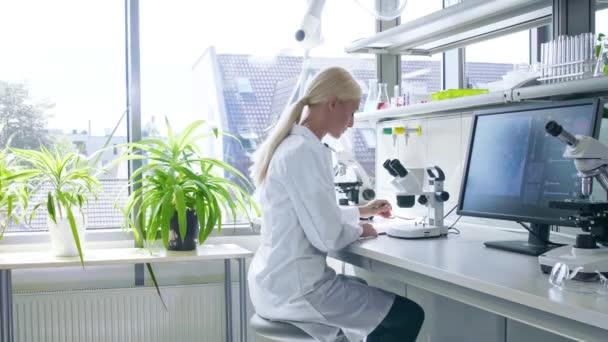 Wissenschaftler, die im Labor arbeiten. Ärzte, die medizinische Forschung betreiben. Laborwerkzeuge: Mikroskop, Reagenzgläser, Geräte. Biotechnologie, Chemie, Naturwissenschaften, Experimente und Gesundheitskonzept. — Stockvideo