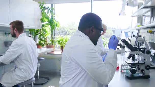 Científico trabajando en el laboratorio. Médicos haciendo investigación médica. Herramientas de laboratorio: microscopio, tubos de ensayo, equipo. Biotecnología, química, ciencia, experimentos y concepto de salud . — Vídeo de stock