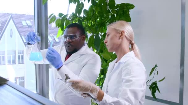 Cientista a trabalhar no laboratório. Médicos a fazer pesquisa médica. Ferramentas de laboratório: microscópio, tubos de ensaio, equipamento. Biotecnologia, química, ciência, experimentos e conceito de saúde . — Vídeo de Stock