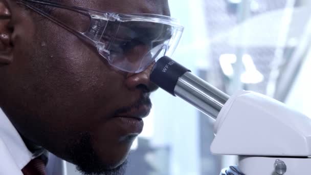 Afro-Amerikaanse wetenschapper die in het lab werkt. Dokter die microbiologie onderzoek doet. Biotechnologie, chemie, bacteriologie, virologie, DNA en gezondheidszorg. — Stockvideo