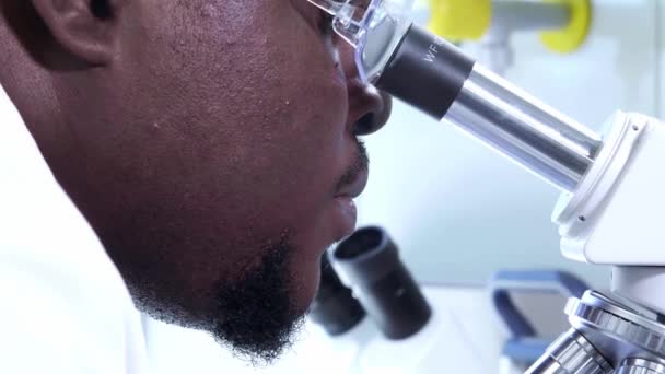 Afro-Amerikaanse wetenschapper die in het lab werkt. Dokter die microbiologie onderzoek doet. Biotechnologie, chemie, bacteriologie, virologie, DNA en gezondheidszorg. — Stockvideo