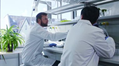 Laboratuvarda çalışan bilim adamı ve asistanı. Doktor stajyere araştırma yapmayı öğretiyor. Laboratuvar araçları: mikroskop, test tüpleri, ekipmanlar.