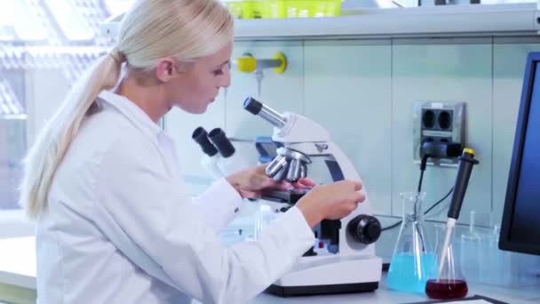 Modern laboratuarda çalışan kadın bilim adamı. Doktor mikrobiyoloji araştırması yapıyor. Biyoteknoloji, kimya, bakteriyoloji, viroloji, DNA ve sağlık hizmetleri kavramı. — Stok video