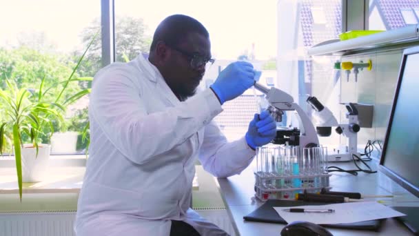 Científico afroamericano trabajando en el laboratorio. Médico varón haciendo investigación microbiológica. Biotecnología, química, bacteriología, virología, ADN y atención sanitaria . — Vídeos de Stock