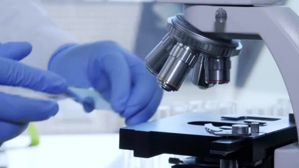 Afro-Amerikaanse wetenschapper die in het lab werkt. Een mannelijke arts die microbiologie onderzoek doet. Biotechnologie, chemie, bacteriologie, virologie, DNA en gezondheidszorg. — Stockvideo