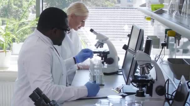 Scienziato e studenti che lavorano in laboratorio. Il dottore insegna ai tirocinanti ad analizzare la ricerca. Strumenti di laboratorio: microscopio, provette, attrezzature. Biotecnologie, chimica, batteriologia, virologia . — Video Stock