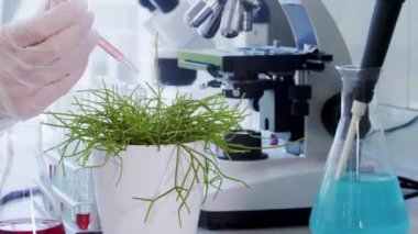 Laboratuvarda çalışan bir bilim adamı. Kadın doktor tıbbi araştırma yapıyor. Laboratuvar aletleri: mikroskop, test tüpleri, ekipmanlar. Biyoteknoloji, kimya, bilim, deneyler ve sağlık konsepti.
